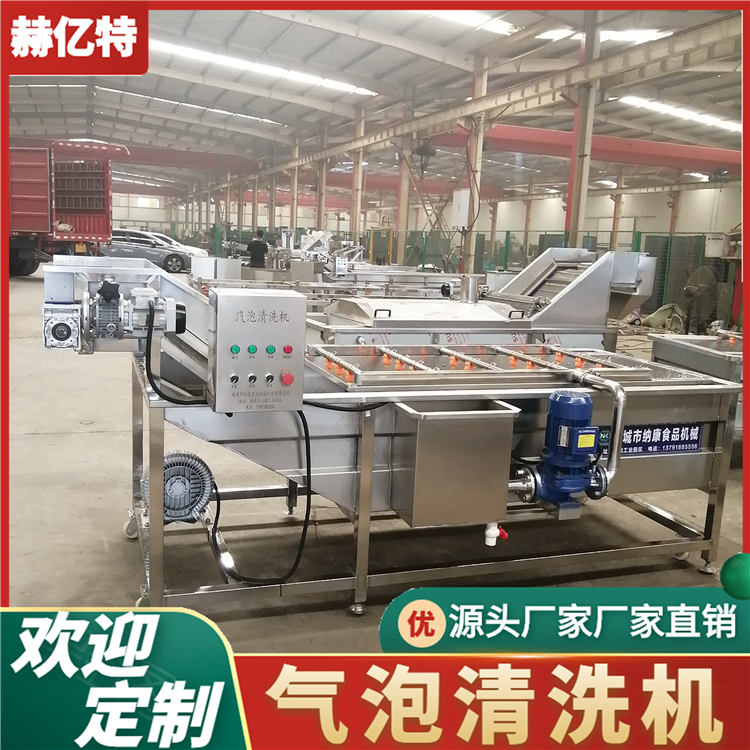 山野菜气泡清洗机 商用瓜果清洗设备 荠菜清洗风干流水线  赫亿特机械