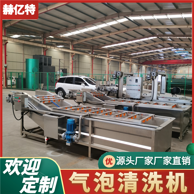蒲公英气泡清洗机 地瓜果蔬清洗设备  中央厨房净菜加工流水线  赫亿特机械