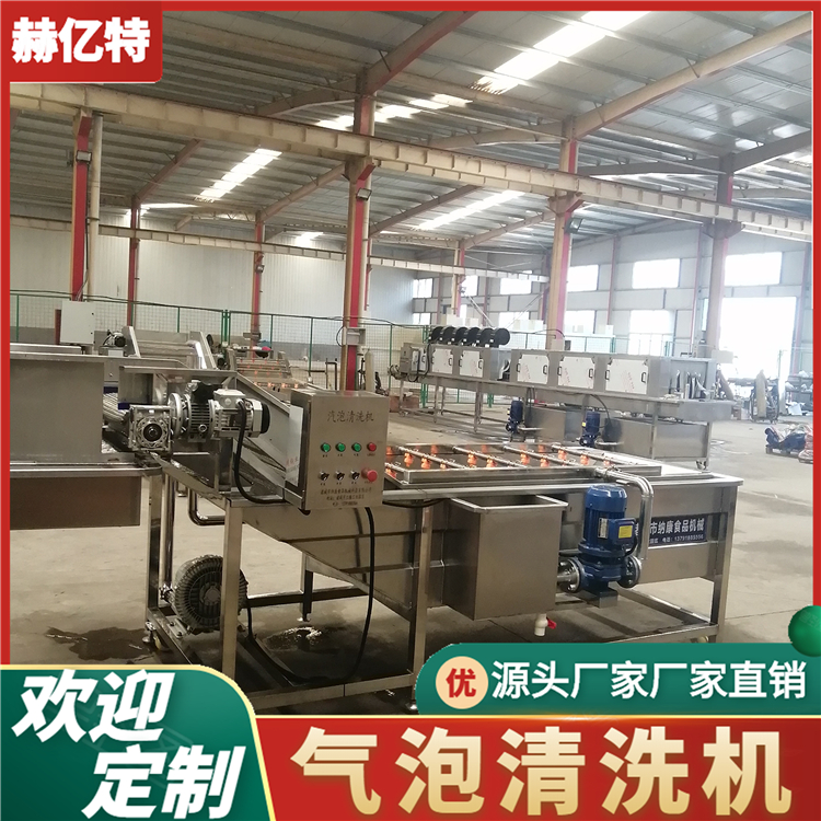 中药材气泡清洗机 商用瓜果清洗设备 鱼腥草清洗风干流水线  赫亿特机械