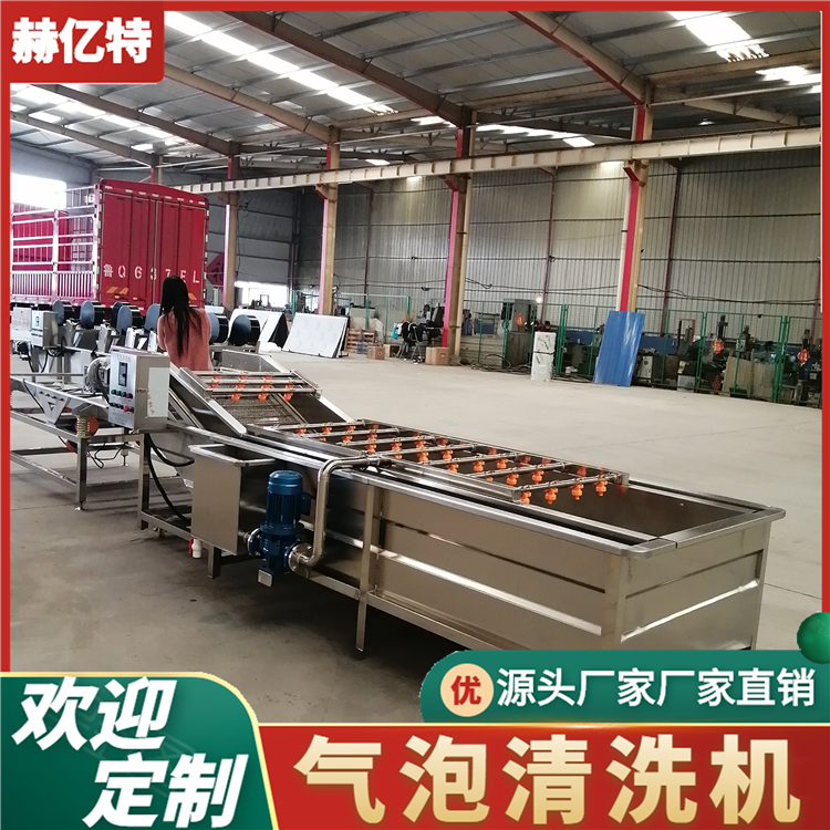 土豆气泡清洗机 苹果柑橘气泡清洗机 定制多功能水果清洗机 质保一年  赫亿特机械