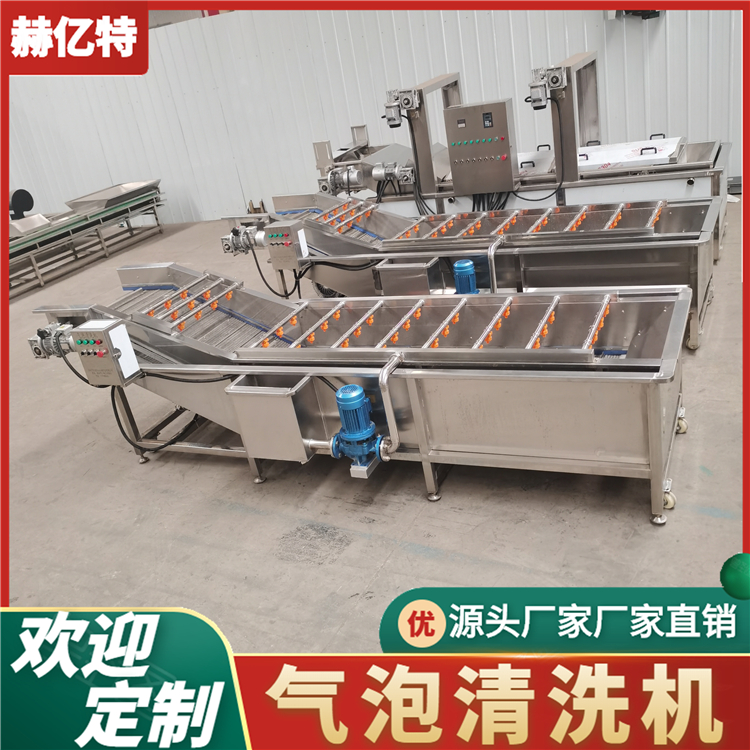 小型果蔬清洗设备 蔬菜气泡清洗机 辣椒清洗机 赫亿特定制