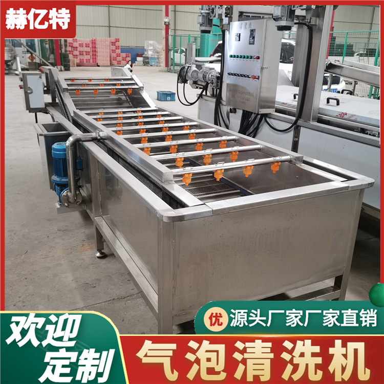 荷兰豆气泡清洗机 西红柿果蔬清洗设备  食品加工净菜加工流水线  赫亿特机械