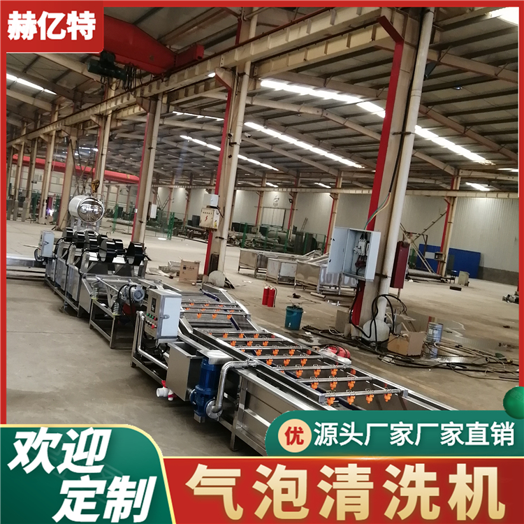 蘑菇气泡清洗机 果蔬气泡清洗机 净菜加工设备  赫亿特机械