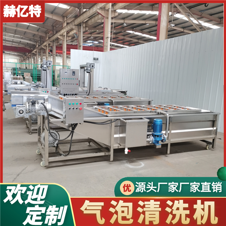 果蔬清洗机 多功能蔬菜去杂机 高压水果喷淋气泡机 全自动气泡清洗机 赫亿特机械