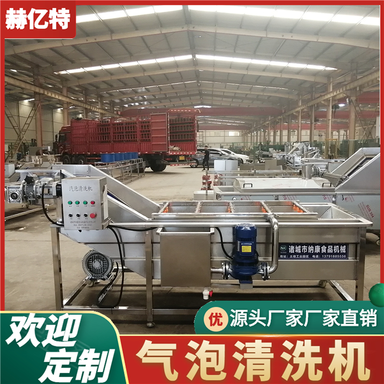 牛蒡气泡清洗机 商用瓜果蔬菜清洗设备 净菜加工流水线  赫亿特机械
