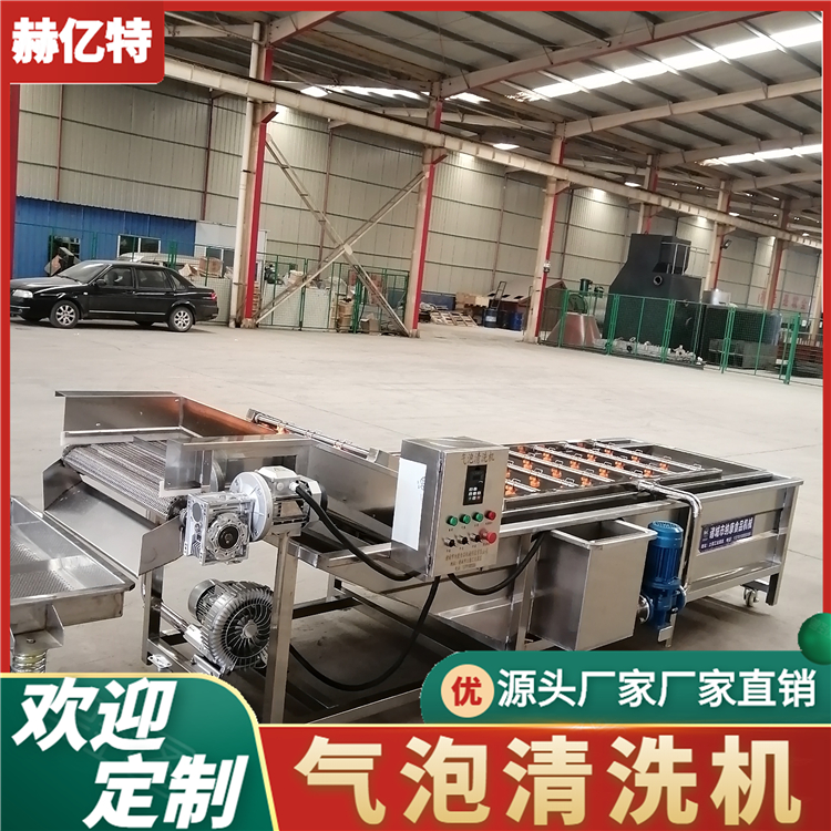 西梅果蔬气泡清洗机 牛油果蓝莓清洗风干设备  蔬菜配送中心净菜加工流水线