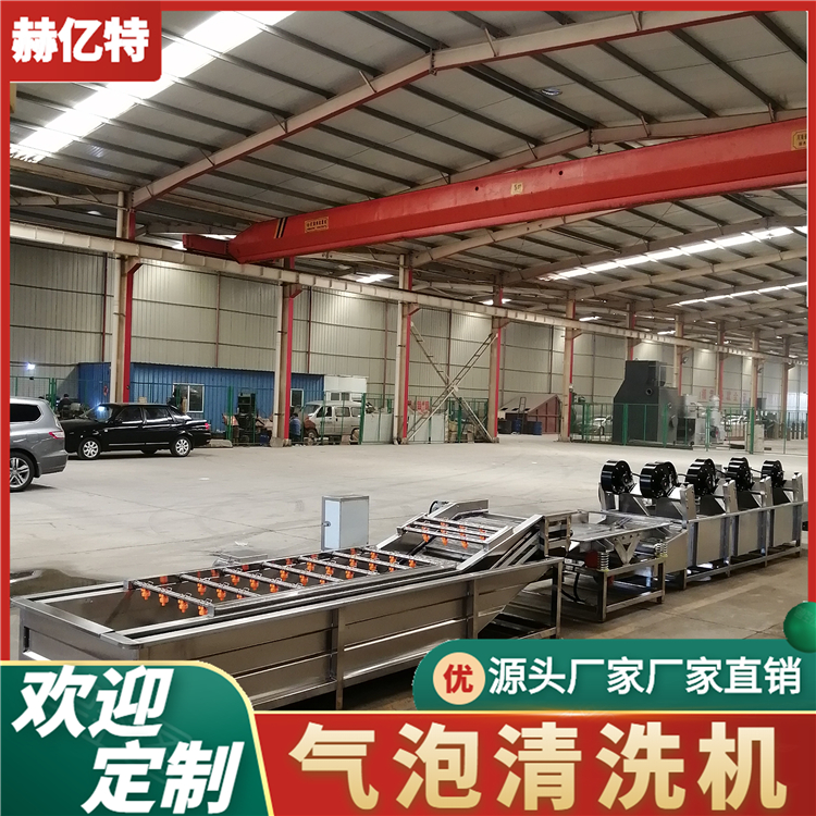 多功能大型洗菜机 果蔬清洗加工设备 全自动果蔬清洗机  赫亿特机械