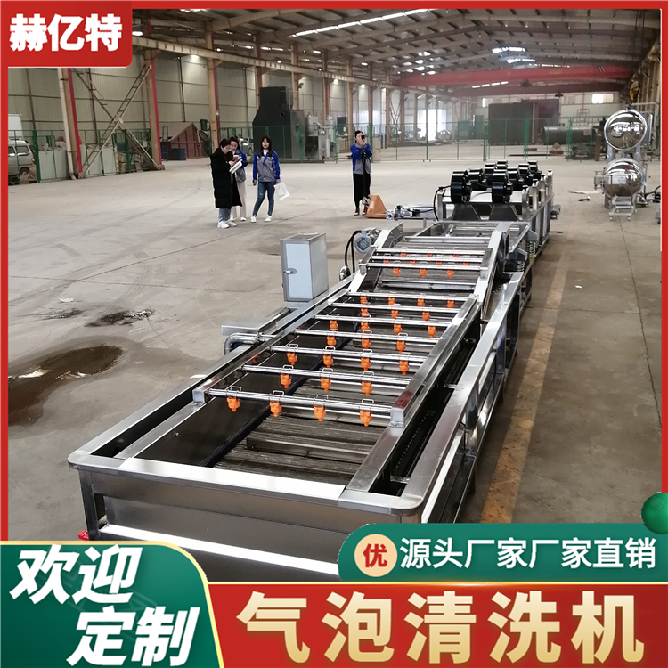 全自动果蔬清洗机 果蔬脱盐设备 翻浪式气泡清洗机 蔬菜清洗设备质保一年  赫亿特机械