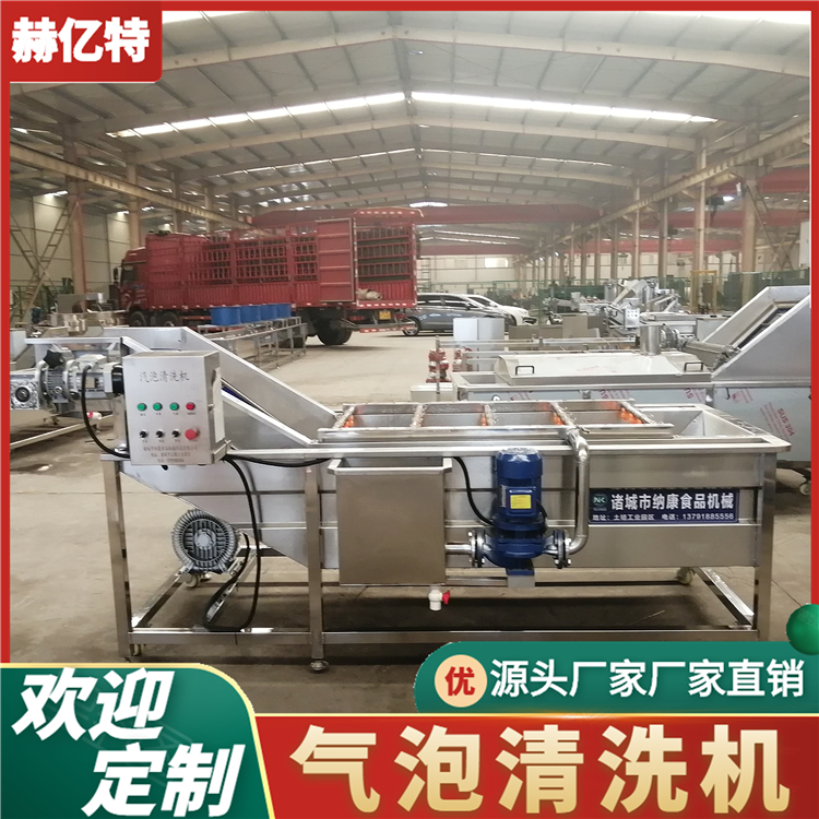 香菇气泡清洗机 商用瓜果蔬菜清洗设备 净菜加工流水线  赫亿特机械