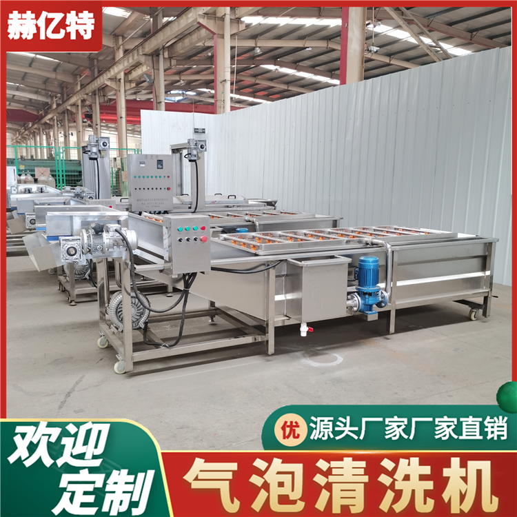 蘑菇气泡清洗机 商用瓜果蔬菜清洗设备 中央厨房净菜加工流水线  赫亿特机械