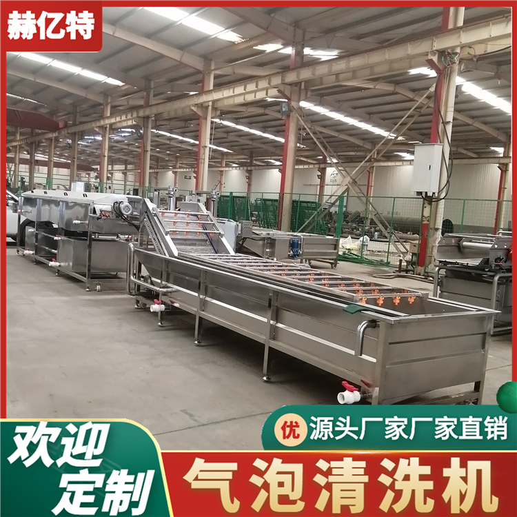 蒲公英气泡清洗机 商用瓜果清洗设备 山野菜清洗风干流水线  赫亿特机械