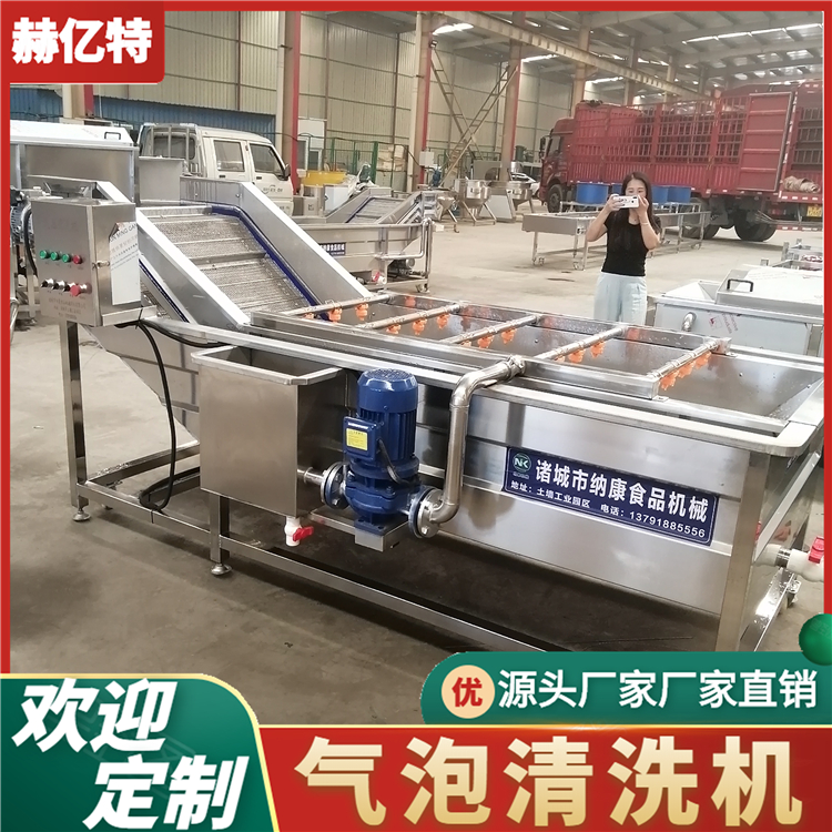 土豆气泡清洗机 商用瓜果蔬菜清洗设备 配送中心净菜加工流水线  赫亿特机械