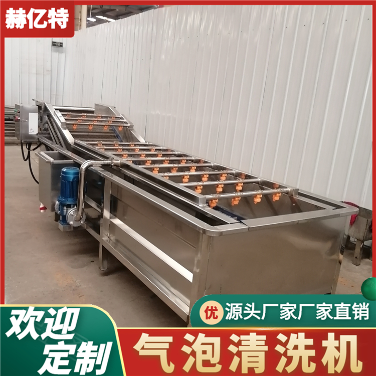 香椿芽气泡清洗机 西红柿果蔬清洗设备  食品加工净菜加工流水线  赫亿特机械