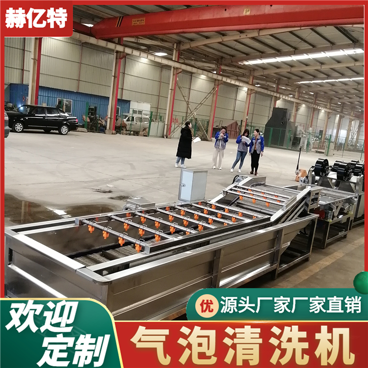 果蔬气泡清洗机 多功能叶菜清洗机 辣椒清洗机  大型蔬菜配送净菜加工流水线 质保一年  赫亿特机械