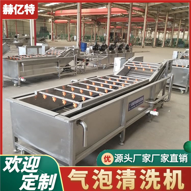 菌类果蔬清洗设备 辣椒果蔬清洗机 大型净菜加工流水线  赫亿特机械
