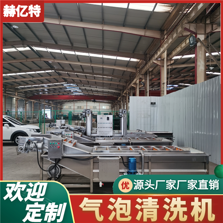 大枣气泡清洗机 多功能气泡清洗机 鼓泡式果蔬清洗机 赫亿特机械