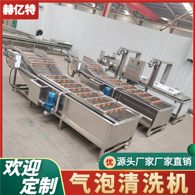 气泡清洗机 辣椒喷淋清洗机 胡萝卜清洗机 长期供应 赫亿特定制