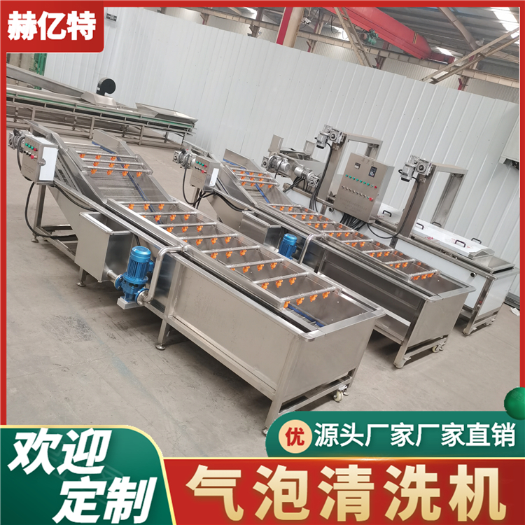 白菜不锈钢气泡清洗机 水果气泡清洗设备 赫亿特定制