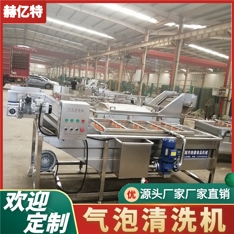 苦菜气泡清洗机 商用瓜果清洗设备 山野菜清洗风干流水线  赫亿特机械