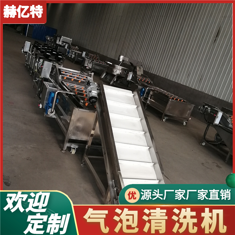 四季豆气泡清洗机 甘蓝清洗风干设备 大型净菜加工流水线 质保一年  赫亿特机械