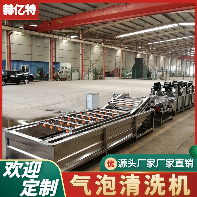 枸杞气泡清洗机 蓝莓气泡清洗机 豆角清洗设备 果蔬清洗机  赫亿特机械