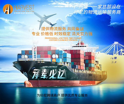 上海到印尼海运时间 上海发货印尼海运双清到门
