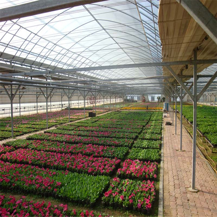 花卉培育薄膜温室 种植薄膜连栋大棚搭建 蔬菜薄膜温室骨架 北方