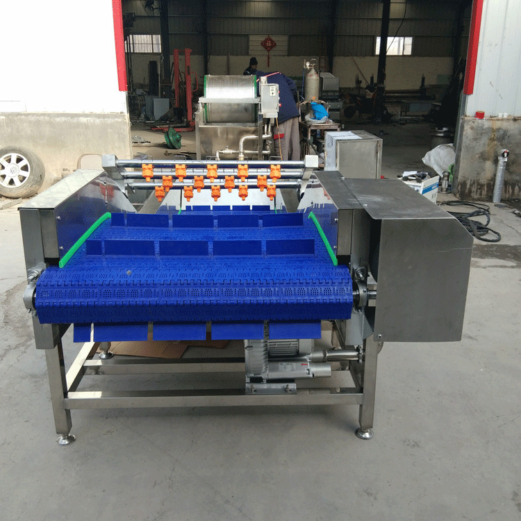 佳昊牌4000型酸菜气泡清洗机 各种型号瓜果蔬菜清洗机厂家大量供应 技术先进 售后服务完善