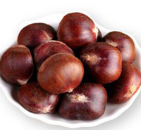 唐山板栗批发出售 板栗<em>食品</em>加工