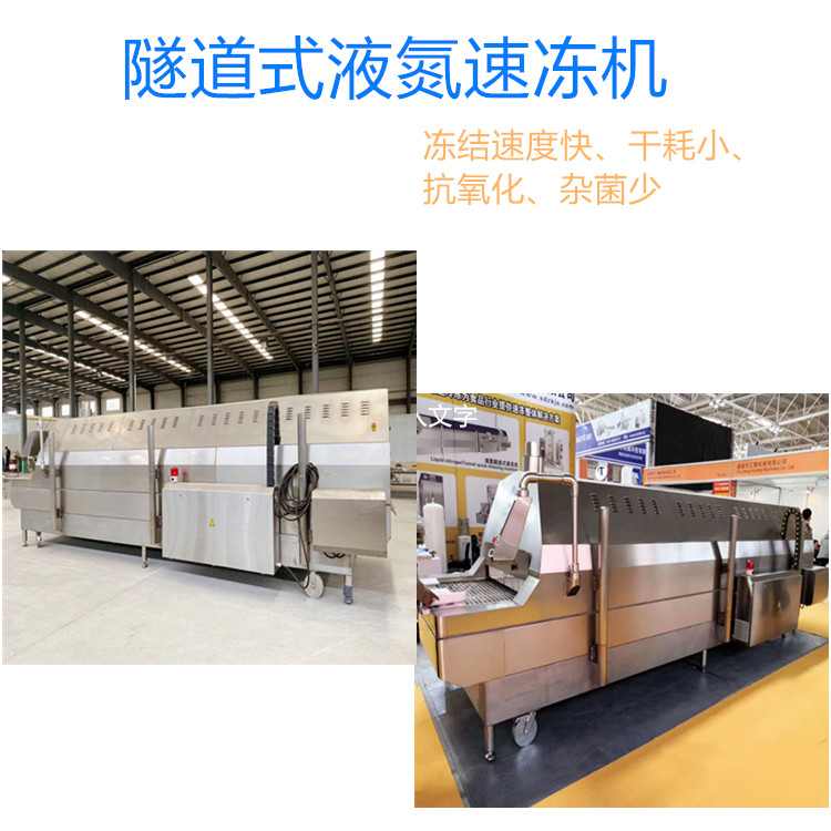 金枪鱼液氮隧道速冻机 鲅鱼液氮隧道式速冻机供应商 工厂直供
