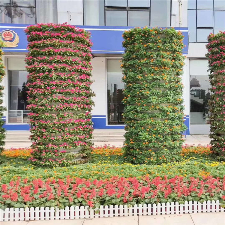 五一草花组摆品种 草花组摆种类 时令花卉批发基地 江瑞花卉