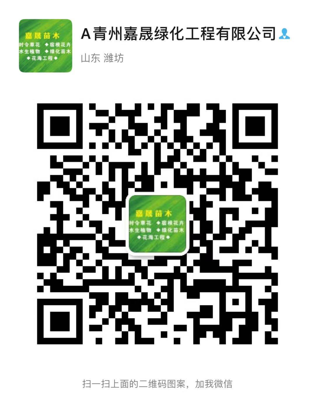 青州雅林花卉苗木专业合作社 微信二维码
