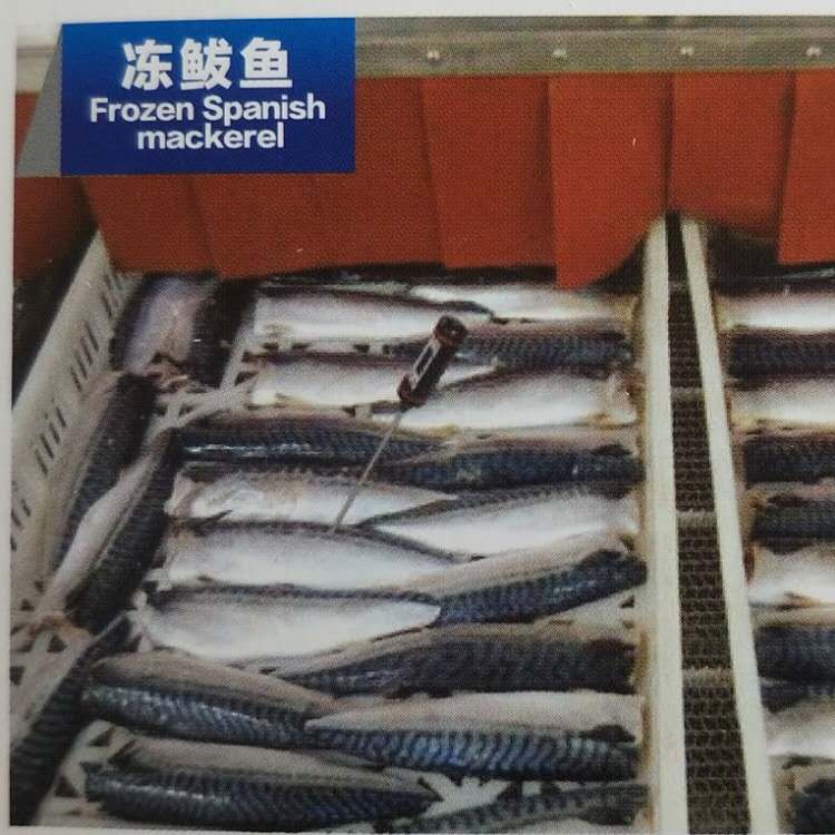海鱼海鲜液氮隧道速冻机供货商 厂家供应食品速冻机 隧道速冻机报价