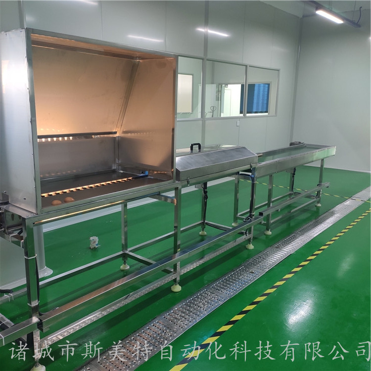 全自动洗蛋流水线生产厂家  支持加工定制  咸鸭蛋去泥清洗机
