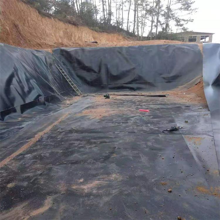 山东厂家供应 垃圾填埋场基础防渗土工膜