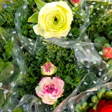 观赏花 花毛茛价格