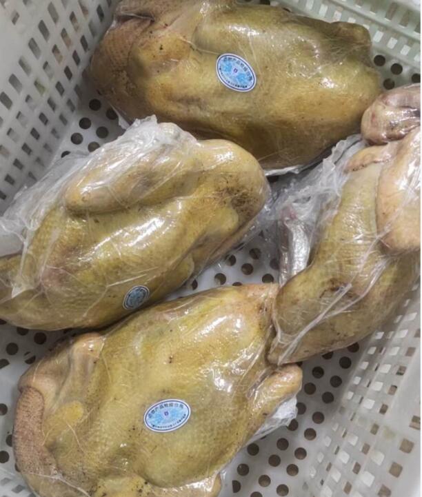 整只鸡真空热缩包装袋 保鲜保香保色肉类包装袋  羊排热缩袋包装袋   高阻隔热缩贴体真空包装袋 