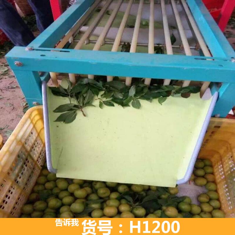 自动选果机 西红柿选果机 全自动选果机