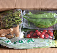 寿宏<em>农业</em>直供蔬菜礼盒   春节套菜礼盒 可定制 价格实惠