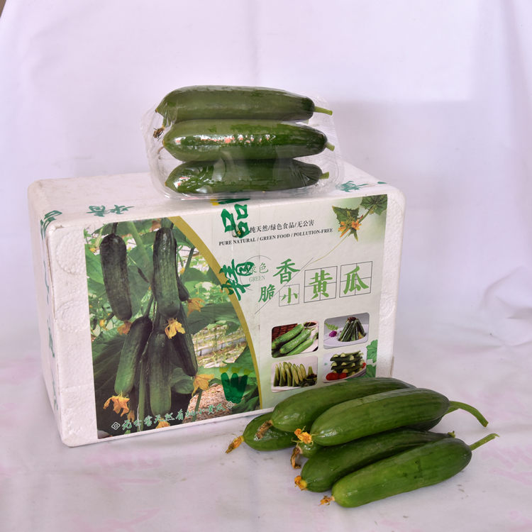 寿光蔬菜礼品菜批发  新年蔬菜礼盒  无公害蔬菜 质优价廉