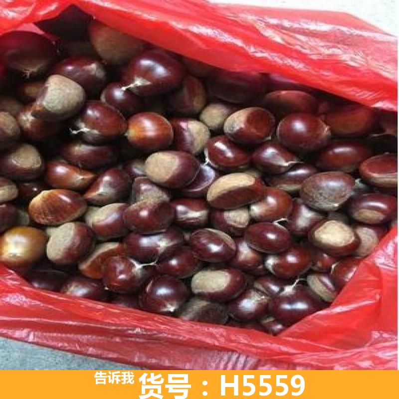 乐板栗脱蓬机 板栗脱蓬机机 板栗去毛刺机