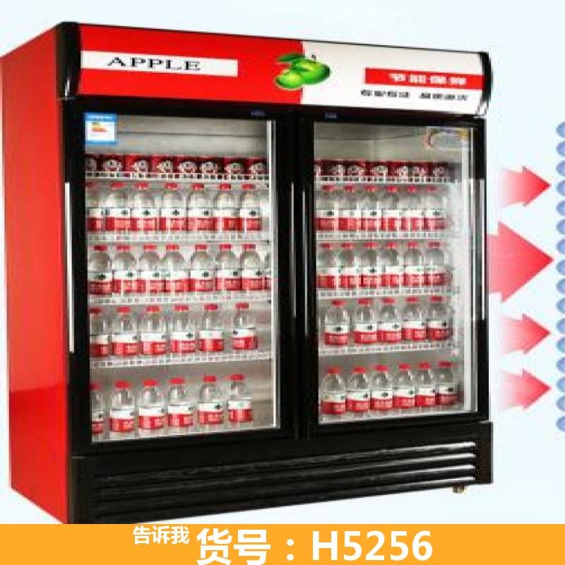 食品冷藏柜 冰箱的冷藏柜 大冷藏柜