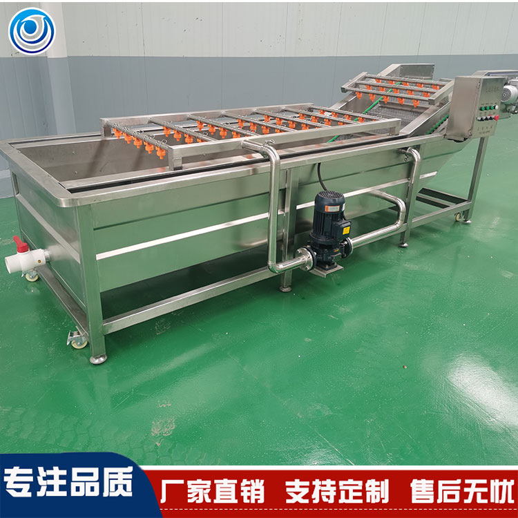 全自动果蔬清洗机 生菜茄子多功能清洗机厂家直销