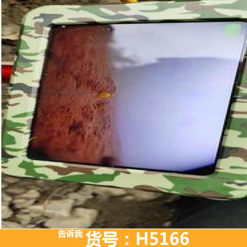 可视锚鱼器 锚鱼钓竿 白天钓鱼竿