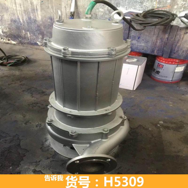离心排污泵 大型排污泵 切割装置排污泵