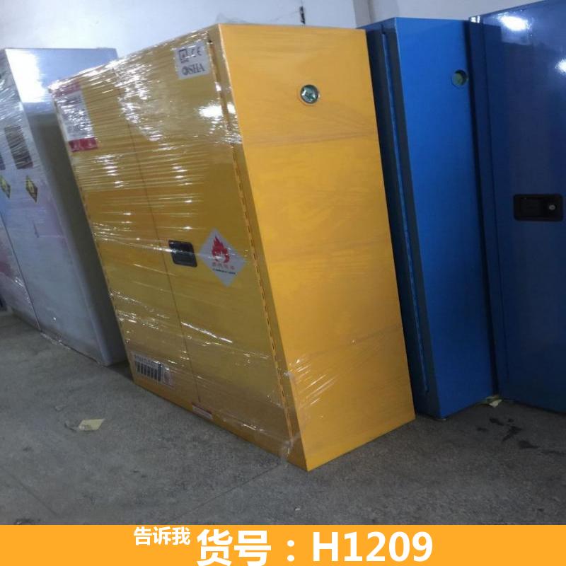 防爆箱防爆柜 防爆装备柜 12加仑防爆柜