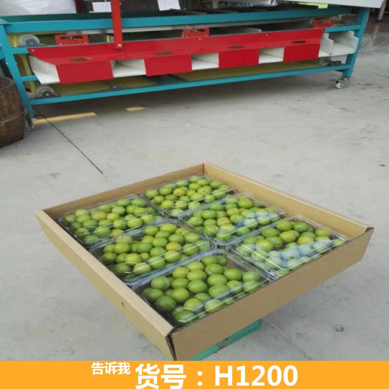 圣女果选果机 脐橙选果机 芒果选果机