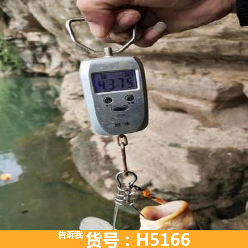 可视锚鱼器 可视日夜锚鱼器 可视锚鱼绕线器