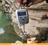 可视锚鱼器 可视日夜锚鱼器 可视锚鱼绕线器