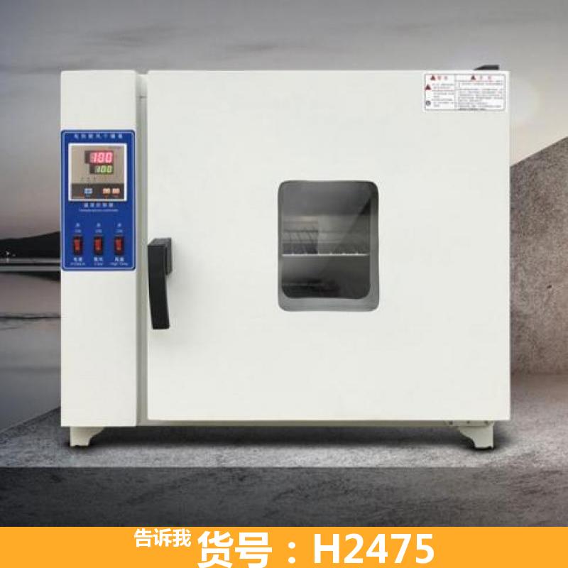 恒温干燥箱 实验室干燥箱 电热真空干燥箱